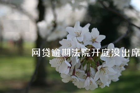 网贷逾期法院开庭没出席 网贷逾期法院开庭没出席