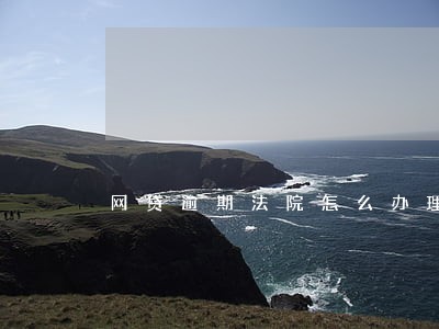 网贷逾期法院怎么办理 网贷逾期法院怎么办理
