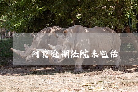 网贷逾期法院来电话