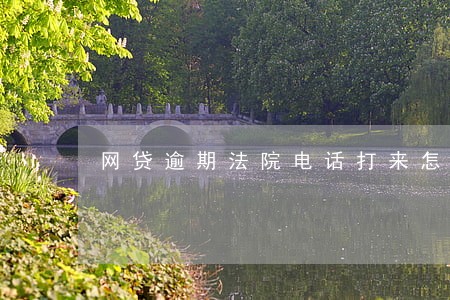 网贷逾期法院电话打来怎么办