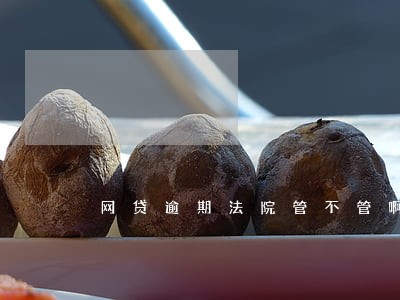 网贷逾期法院管不管啊 网贷逾期法院管不管啊