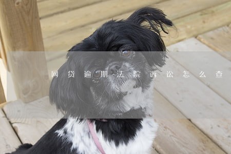 网贷逾期法院诉讼怎么查 网贷逾期法院诉讼怎么查