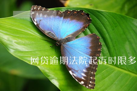 网贷逾期法院起诉时限多久 网贷逾期法院起诉时限多久