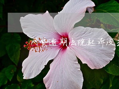网贷逾期法院起诉没去 网贷逾期法院起诉没去