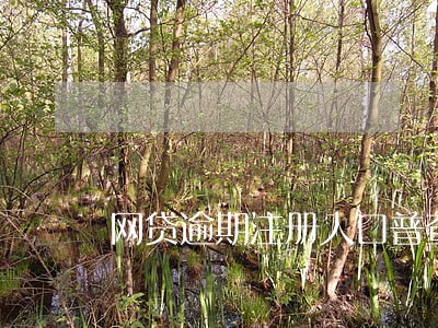 网贷逾期注册人口普查有影响吗 网贷逾期注册人口普查有影响吗