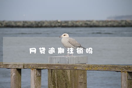 网贷逾期注销吗 网贷逾期注销吗