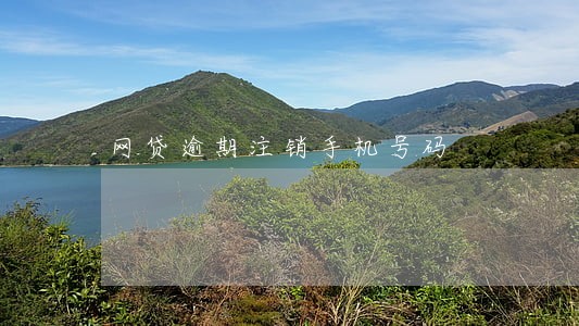 网贷逾期注销手机号码 网贷逾期注销手机号码