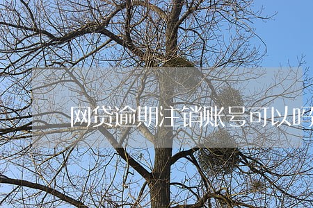 网贷逾期注销账号可以吗 网贷逾期注销账号可以吗