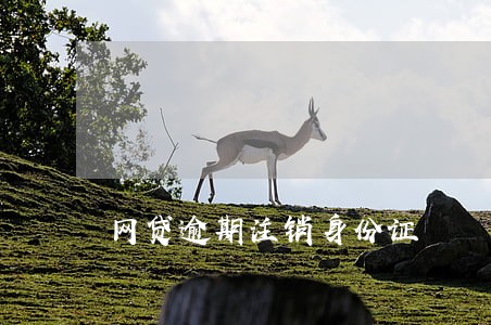 网贷逾期注销身份证 网贷逾期注销身份证
