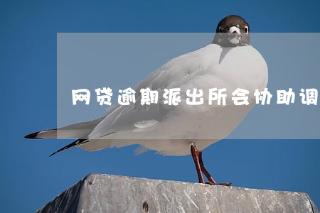 网贷逾期派出所会协助调查 网贷逾期派出所会协助调查