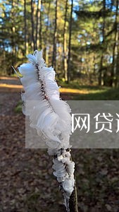 网贷逾期派出所会打电话给我 网贷逾期派出所会打电话给我