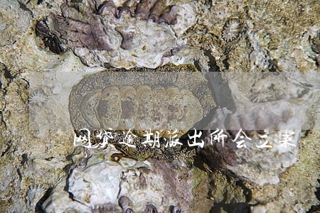 网贷逾期派出所会立案 网贷逾期派出所会立案