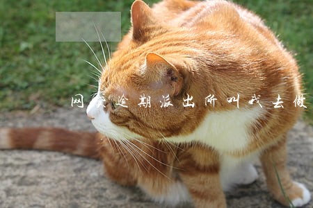 网贷逾期派出所叫我去做笔录 网贷逾期派出所叫我去做笔录