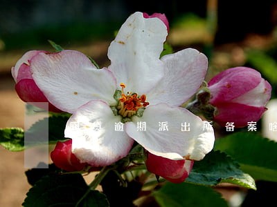 网贷逾期派出所备案啥意思 网贷逾期派出所备案啥意思