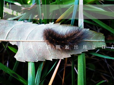 网贷逾期派出所让我去一趟 网贷逾期派出所让我去一趟