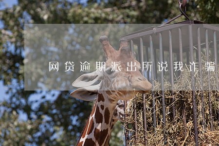 网贷逾期派出所说我诈骗 网贷逾期派出所说我诈骗