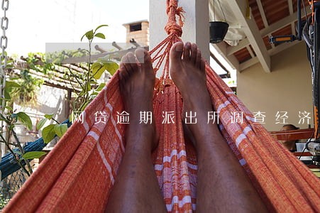 网贷逾期派出所调查经济情况 网贷逾期派出所调查经济情况