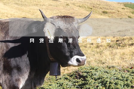 网贷逾期派出所通知 网贷逾期派出所通知