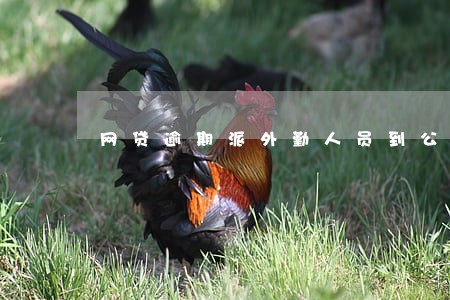 网贷逾期派外勤人员到公司 网贷逾期派外勤人员到公司
