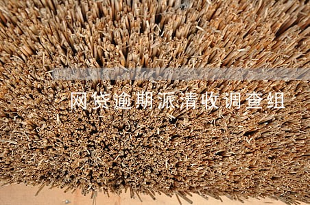 网贷逾期派清收调查组 网贷逾期派清收调查组