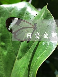 网贷逾期海纳百川催收6 网贷逾期海纳百川催收6