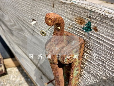 网贷逾期消除不了 网贷逾期消除不了