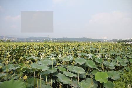 网贷逾期涉及骗贷吗 网贷逾期涉及骗贷吗