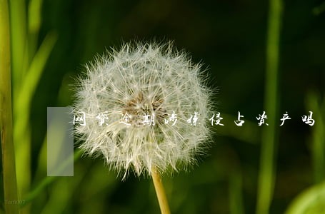 网贷逾期涉嫌侵占资产吗