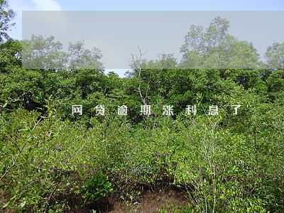 网贷逾期涨利息了 网贷逾期涨利息了