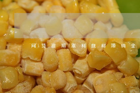 网贷逾期涨利息和滞纳金咋办 网贷逾期涨利息和滞纳金咋办