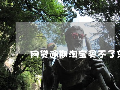 网贷逾期淘宝买不了东西