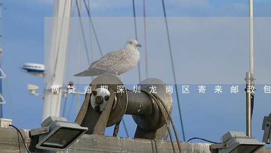 网贷逾期深圳龙岗区寄来邮政包裹 网贷逾期深圳龙岗区寄来邮政包裹