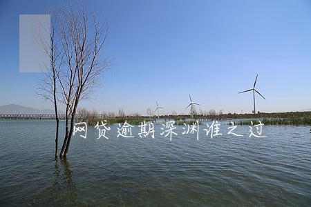 网贷逾期深渊谁之过
