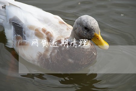 网贷逾期清理 网贷逾期清理