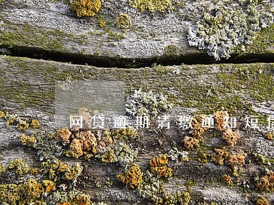 网贷逾期清缴通知短信 网贷逾期清缴通知短信
