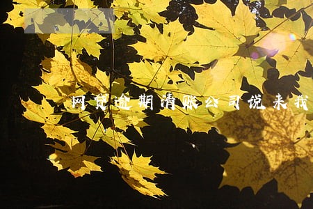 网贷逾期清账公司说来我家要钱 网贷逾期清账公司说来我家要钱