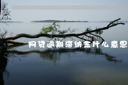 网贷逾期滞纳金什么意思 网贷逾期滞纳金什么意思