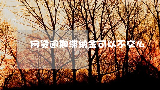 网贷逾期滞纳金可以不交么 网贷逾期滞纳金可以不交么