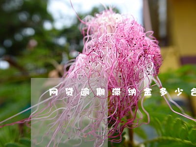 网贷逾期滞纳金多少合法 网贷逾期滞纳金多少合法
