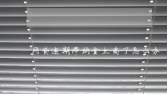 网贷逾期滞纳金太高了怎么办