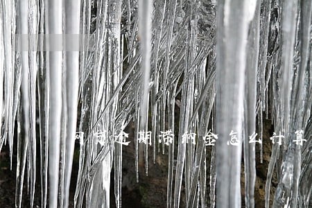 网贷逾期滞纳金怎么计算 网贷逾期滞纳金怎么计算