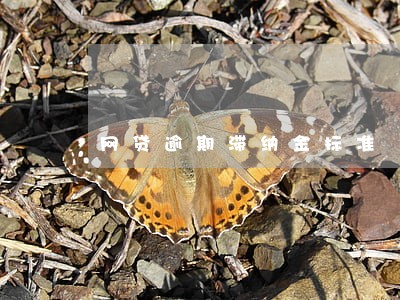 网贷逾期滞纳金标准 网贷逾期滞纳金标准