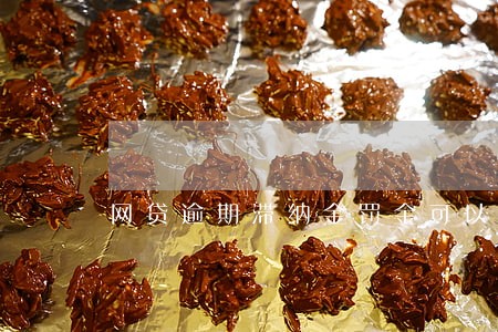 网贷逾期滞纳金罚金可以不交吗 网贷逾期滞纳金罚金可以不交吗
