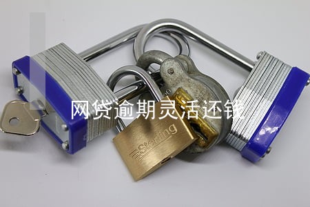 网贷逾期灵活还钱 网贷逾期灵活还钱