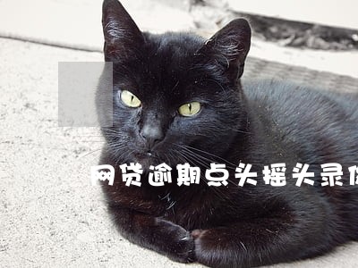 网贷逾期点头摇头录像上传 网贷逾期点头摇头录像上传