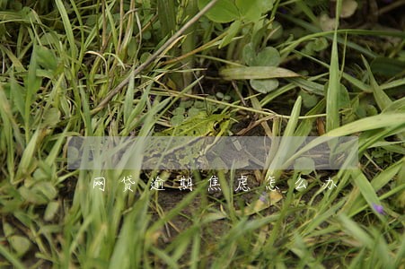 网贷逾期焦虑怎么办 网贷逾期焦虑怎么办