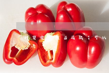 网贷逾期然后还款了可以房贷吗