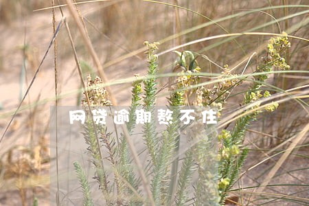 网贷逾期熬不住 网贷逾期熬不住
