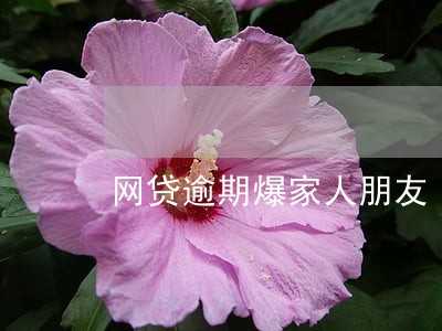 网贷逾期爆家人朋友 网贷逾期爆家人朋友