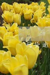 网贷逾期爆朋友圈 网贷逾期爆朋友圈